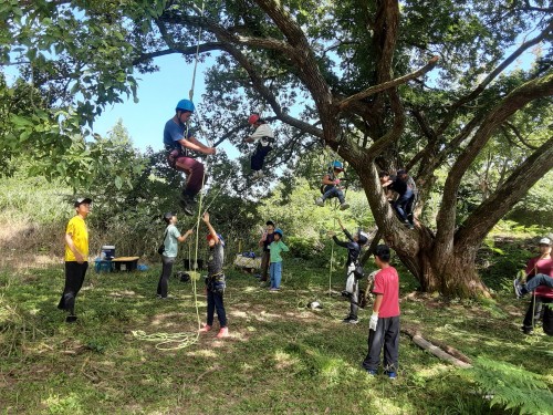 ９－３　その湿地に埋もれていたマルバオオヤナギ